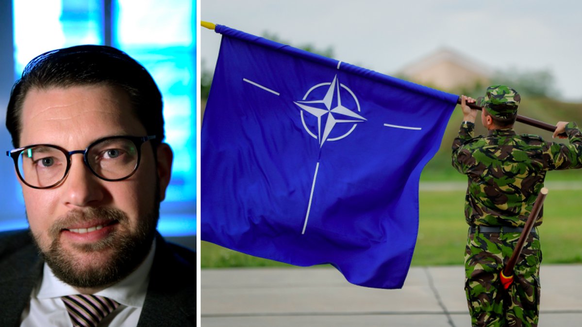 Åkesson vänder i frågan om Nato.